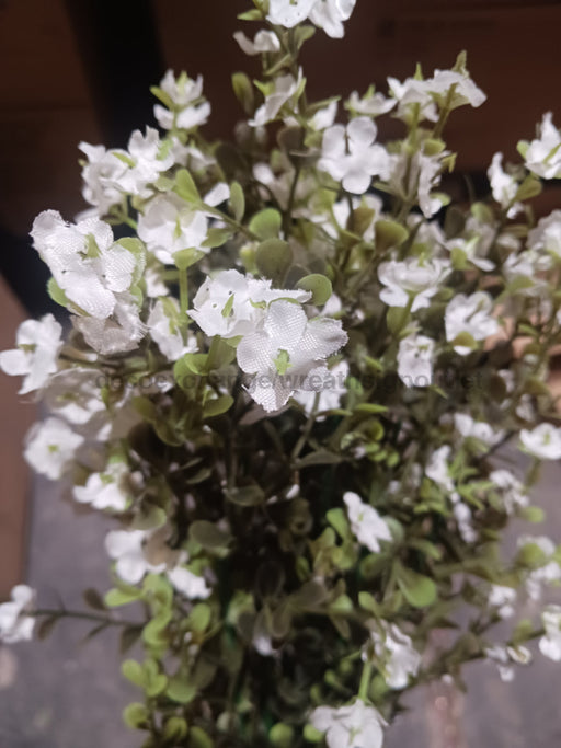 Mini Gypsophila Bush – 12 Stems White 76630 Greenery