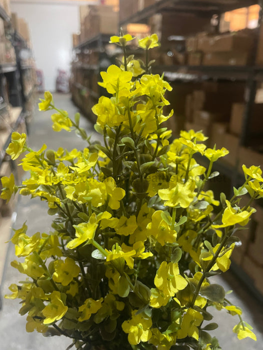 Mini Gypsophila Bush – 12 Stems Yellow 76622 Greenery