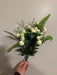 Mini Mum Bush – 12 Stems Cream 36341 Greenery