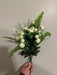 Mini Mum Bush – 12 Stems Cream 36341 Greenery