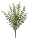 Pl.frost. Boxwood Bush X 24 23’’ Mtf21094-Frgr Greenery