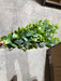 Plastic Boxwood – 7 Stems Fresh Green 57162 Greenery