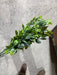 Plastic Boxwood – 7 Stems Fresh Green 57162 Greenery