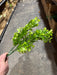 Plastic Boxwood – 7 Stems Green 57161 Greenery