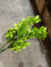 Plastic Boxwood – 7 Stems Green 57161 Greenery