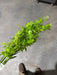 Plastic Boxwood W/ Berry – 7 Stems Green 57171 Greenery