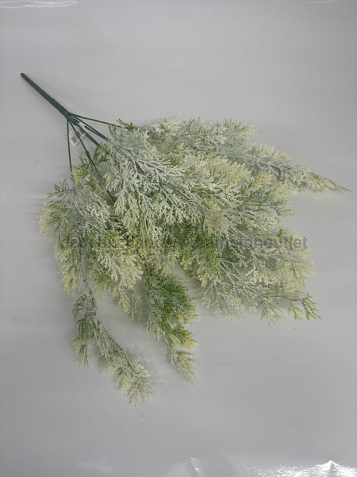 Pls Cedar X 9 Snow 58301 Greenery