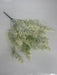 Pls Cedar X 9 Snow 58301 Greenery