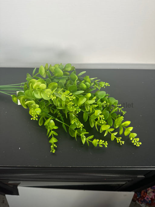 Pls Euc Bush X8 Grn 57291 Greenery