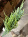 Plastic Fern Bush – 9 Stems Green 80526 Greenery