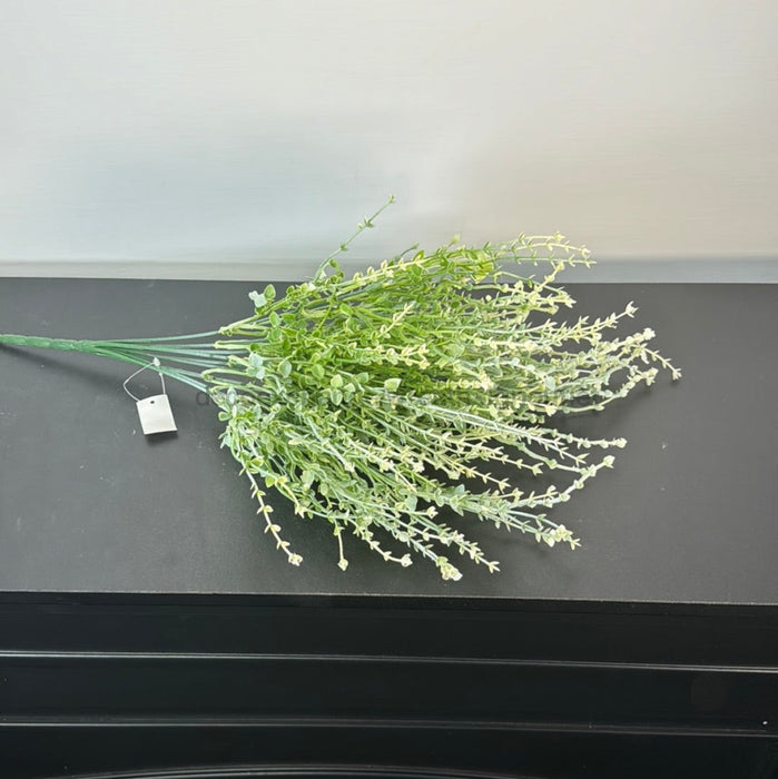 Pls. Fern Bush X 9 Crm 43664 Greenery