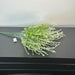 Pls. Fern Bush X 9 Crm 43664 Greenery