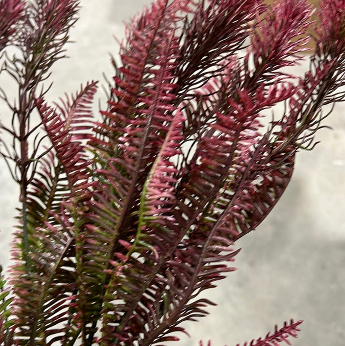 Pls Fern Bush X 8 Dk.red 57789 Greenery