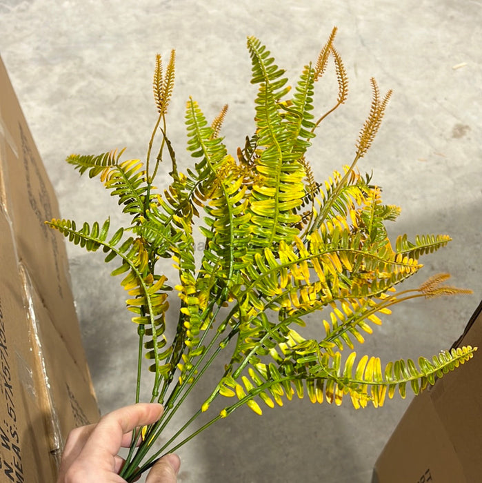 Pls Fern Bush X 8 Org 57804 Greenery