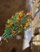 Plastic Grass W/ Cosmos – 7 Stems Orange 65313 Greenery