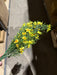 Plastic Grass W/ Cosmos – 7 Stems Yellow 65312 Greenery