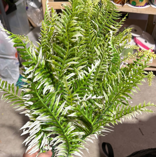 Plastic Large Mix Fern Bush Cream 18 Stems 6 Dozen 57202 Greenery