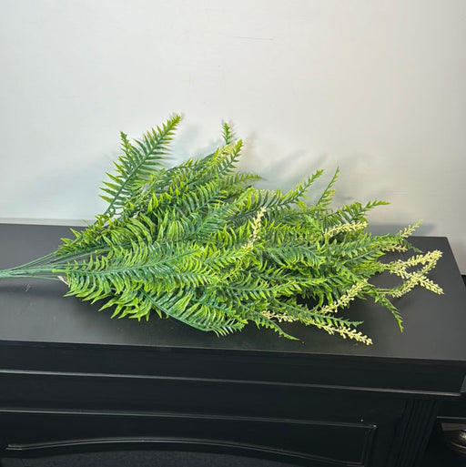 Pls Lg Mx Fern Bshx18 Grn 57201 Greenery
