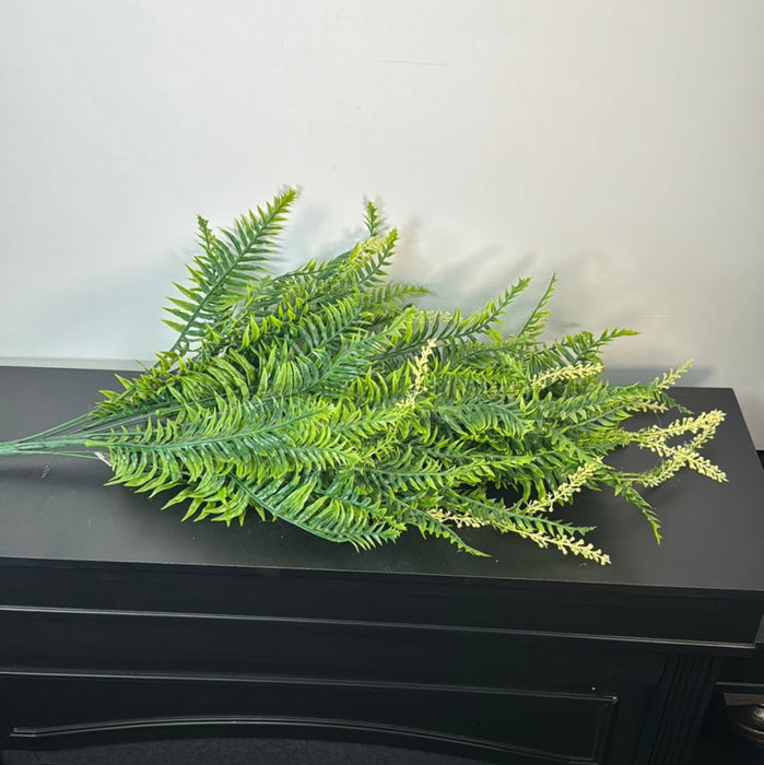 Pls Lg Mx Fern Bshx18 Grn 57201 Greenery
