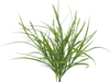Plastic Rice Grass Bush X 7 H21 13149GN - DecoExchange