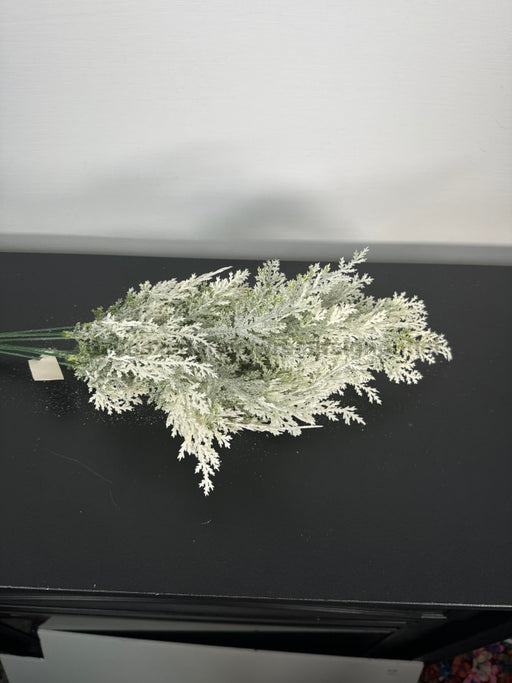Pls Cedar Bush X 8 Snow 58391 Greenery