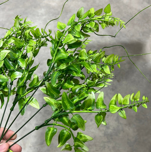 Pls Mix Fern Bush X 8 Grn 57811 Greenery