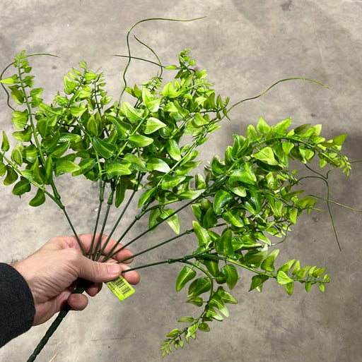 Pls Mix Fern Bush X 8 Grn 57811 Greenery