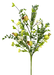 Pod Fern Spray 28’’ 63589Nat Greenery