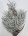 Pvc Frosted Mx Pine Spray 38324 Pick