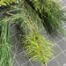 Pvc Long Nedl Mxpck 20 39325 Greenery