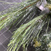 Pvc Pine W/Cone Frst Spray 38131 Greenery