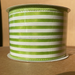 Kiwi Stn/Wht Cabana Stripes, 2.5"X10Y Q817240-09 - DecoExchange