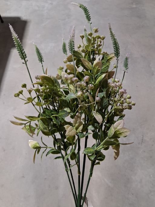 Pls Grass Wiberry X8 Pur 12Dz 57328 - DecoExchange®