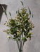 Pls Grass Wiberry X8 Pur 12Dz 57328 - DecoExchange®