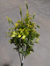 Pls Leaf W/Hethr X8 Yell 12Dz 57323 - DecoExchange®
