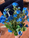 Rose Bush X 7 Blue 37308 Pick