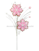 Snowflake Cookie Spray 2 Stems 28’ 85891Pk Pick