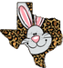 Texas Easter Sign Wood Sign Door Hanger Decoe-W-477 22