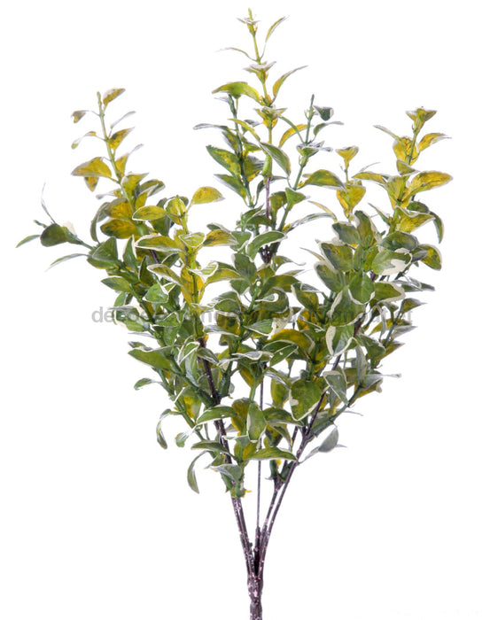 Varigated Boxwood Bush 13’’ Mtf22406-Grcr Greenery