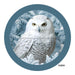Vinyl Decal | SNOWY OWL | WINTER - Unique in the Creek LTD