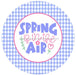 VINYL DECAL | SPRING IS IN THE AIR | SPRING | GINGHAM - Unique in the Creek LTD