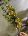 Xmas Berry W/Euc Spray Gld 68651 Greenery
