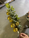 Xmas Berry W/Euc Spray Gld 68651 Greenery
