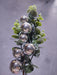 Xmas Berry W/Euc Spray Sil 68652 Greenery
