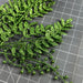 Xmas Leave Spray Grn 60904 Pick