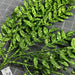 Xmas Leave Spray Grn 60904 Pick