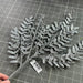 Xmas Leave Spray Silv 60902 Pick