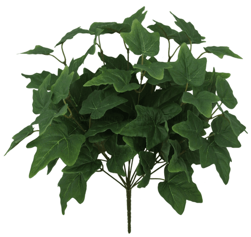 18 In English Ivy Bush X 12 W 80021-Gn Greenery