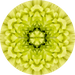 Geometric Flower Center Yellow Decoe-Fc-0011 6 metal