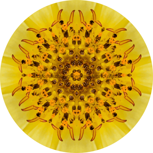 Geometric Flower Center Yellow Decoe-Fc-0015 6 metal